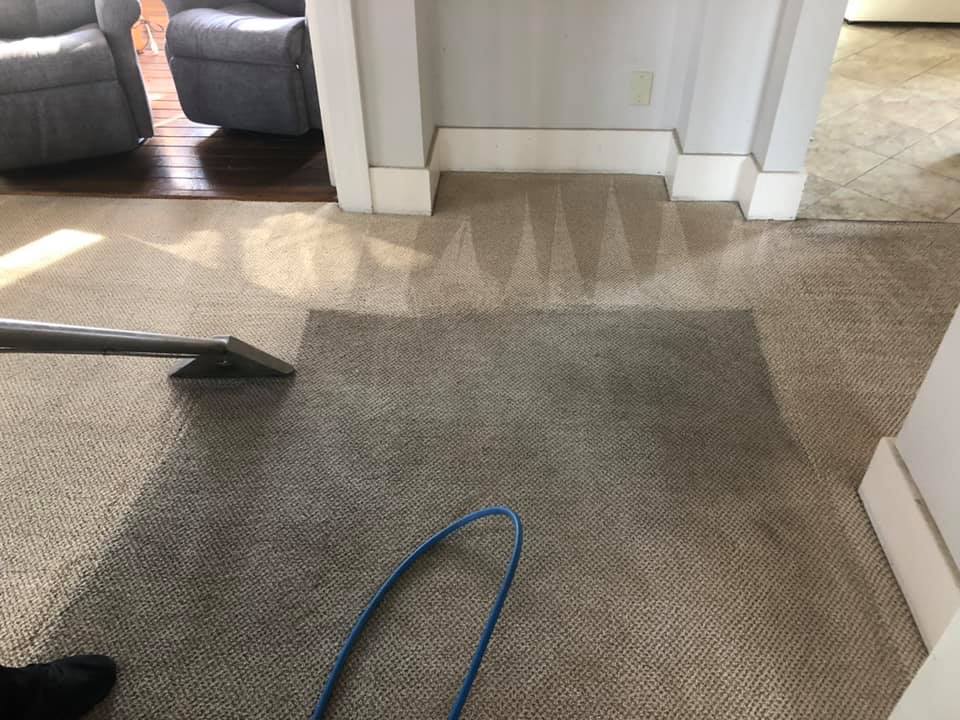 Carpet Cleaning 10 Carpet Cleaning 10