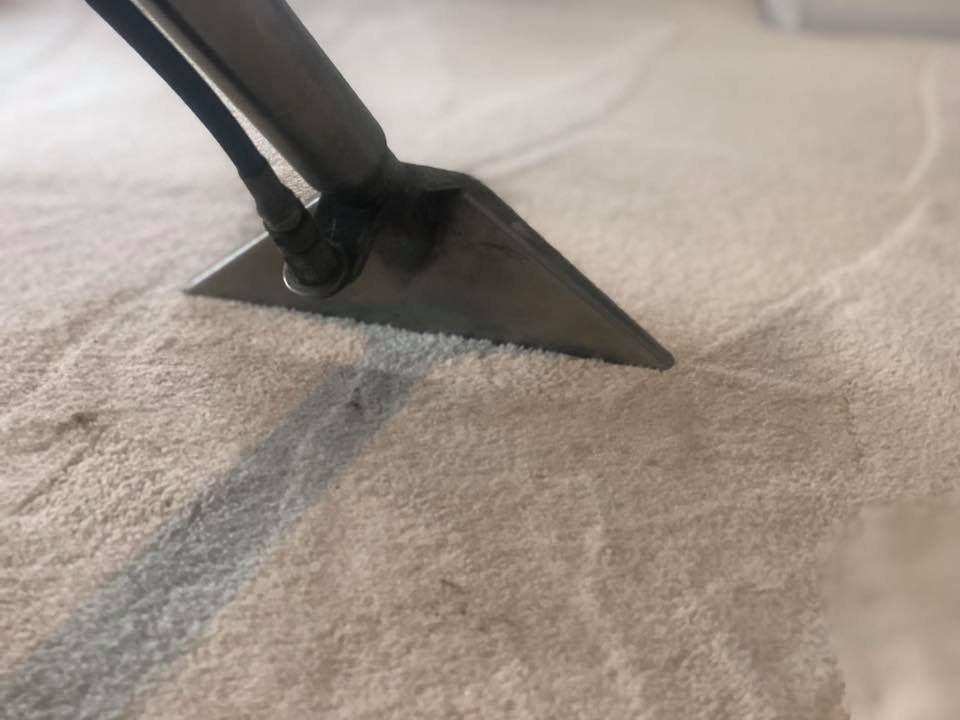 Carpet Cleaning Bottom Image Commercial Carpet Cleaning