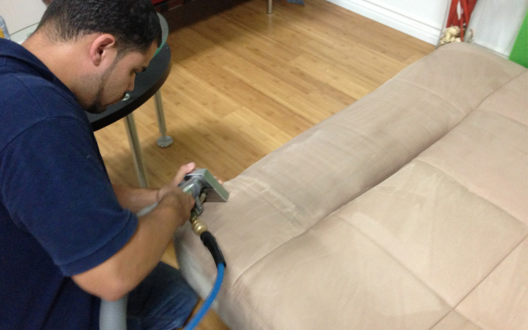 The Benefits of Professional Upholstery Cleaning for Homes With Pets and Kids