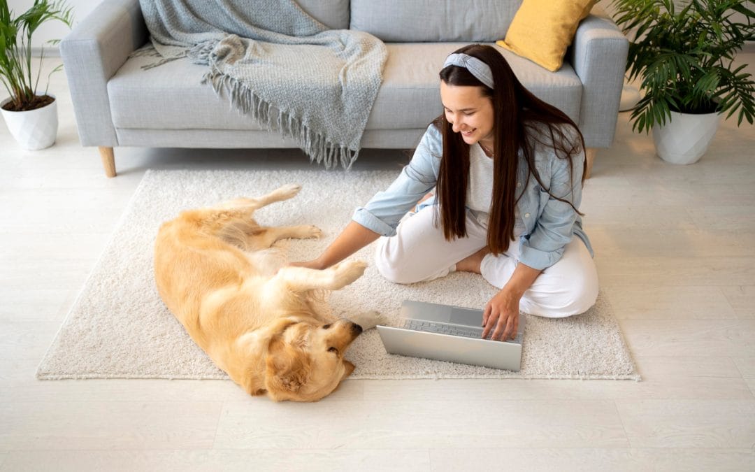 How to Remove Pet Odor and Urine Stains From Rugs and Carpets
